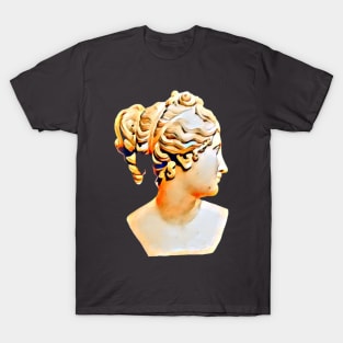 Venus antique statue decor T-Shirt